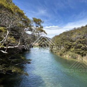 Clear River Channel Through Beech Forest, Mavora Lakes, New Zealand