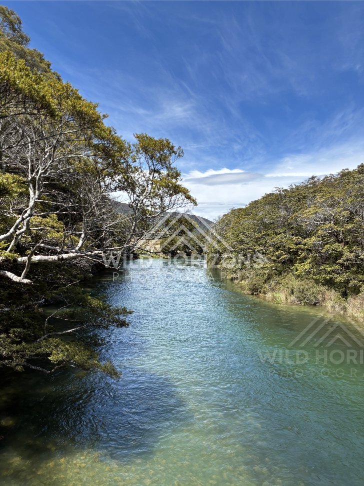 Clear River Channel Through Beech Forest, Mavora Lakes, New Zealand
