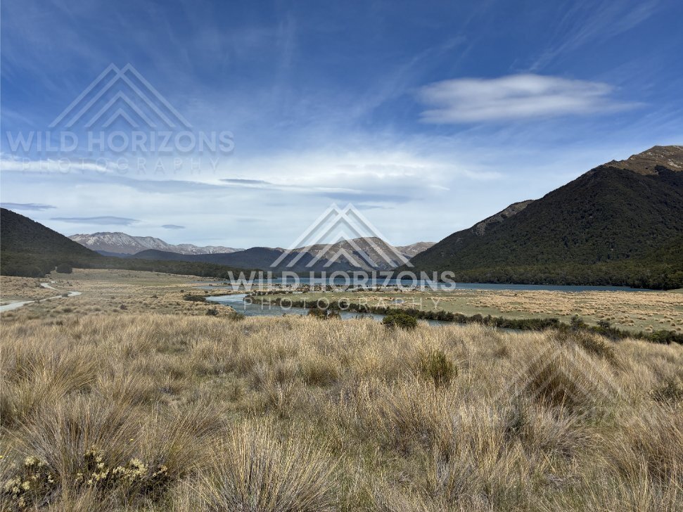 Braided Stream Winding Toward the Lake Across Tussock Flats, Mavora Lakes, New Zealand
