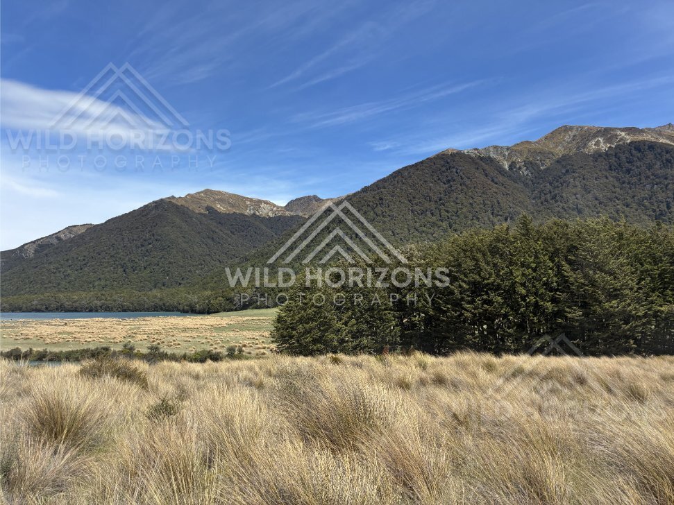 Tussock Meadow and Lakeside Forest With Mountain Backdrop, Mavora Lakes, New Zealand