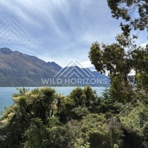 Native Bush and Cabbage Trees Overlooking Lake Wakatipu, Kingston, New Zealand