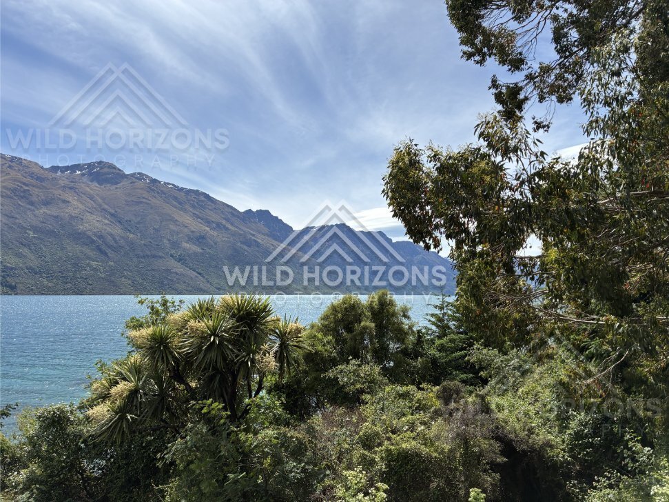 Native Bush and Cabbage Trees Overlooking Lake Wakatipu, Kingston, New Zealand