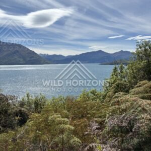 Sweeping Gorge View near Kingston, Lake Wakatipu. South Island, New Zealand