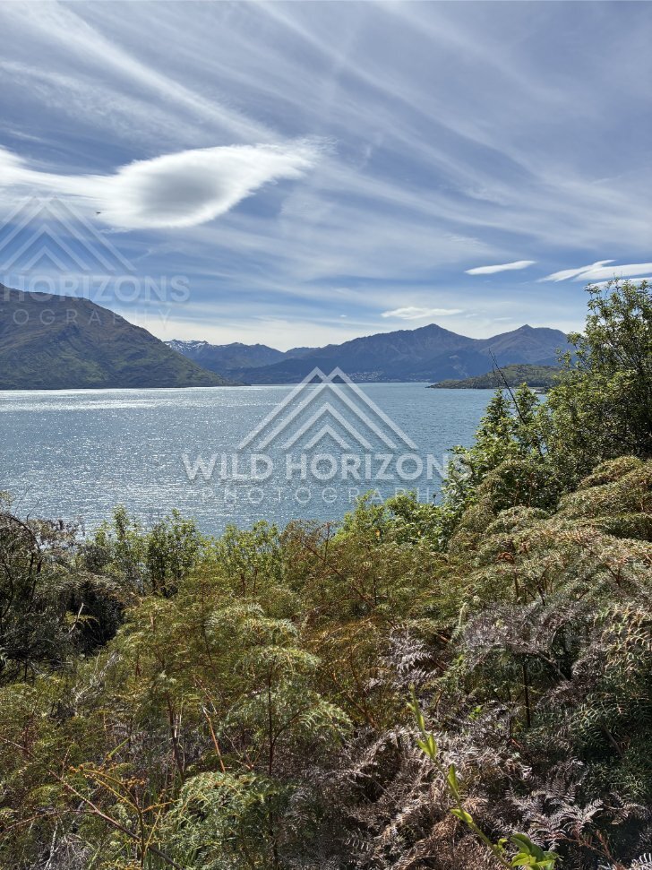 Sweeping Gorge View near Kingston, Lake Wakatipu. South Island, New Zealand