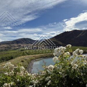 Dramatic River Bend overlooking Cromwell area. South Island, New Zealand