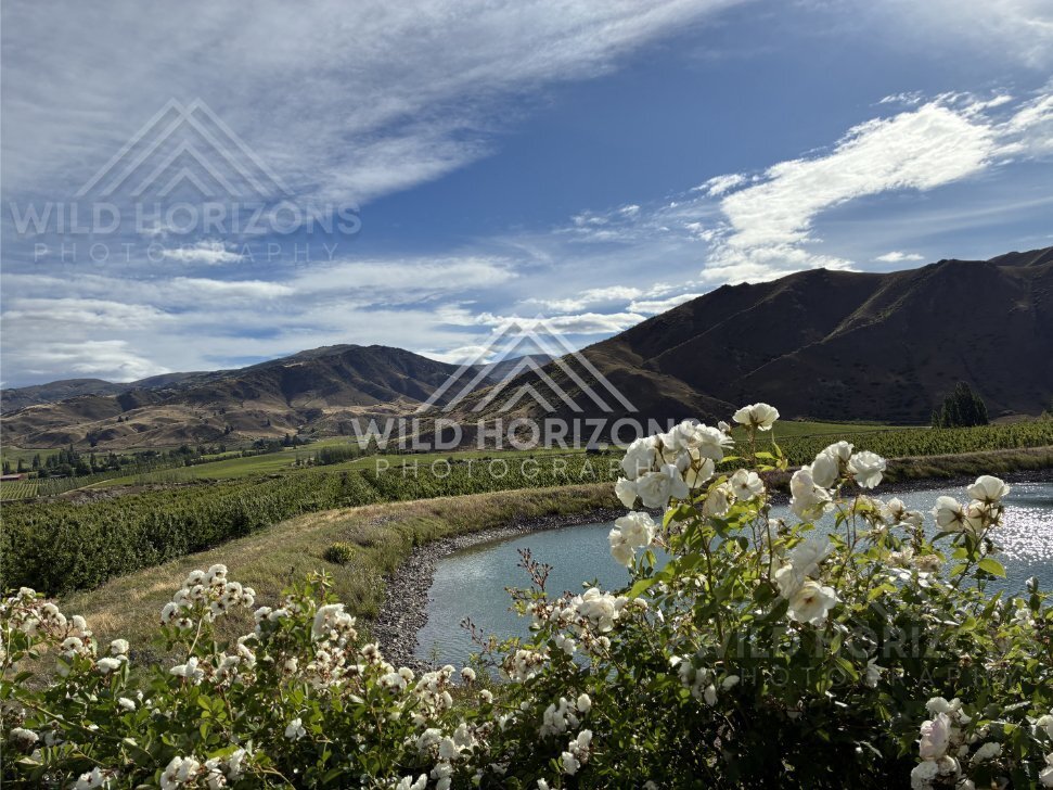 Dramatic River Bend overlooking Cromwell area. South Island, New Zealand