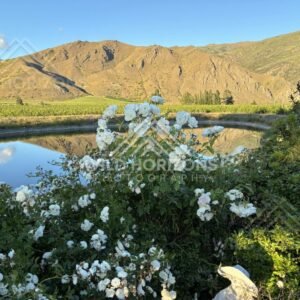 Rugged Mountain Backdrop at Cromwell area. South Island, New Zealand