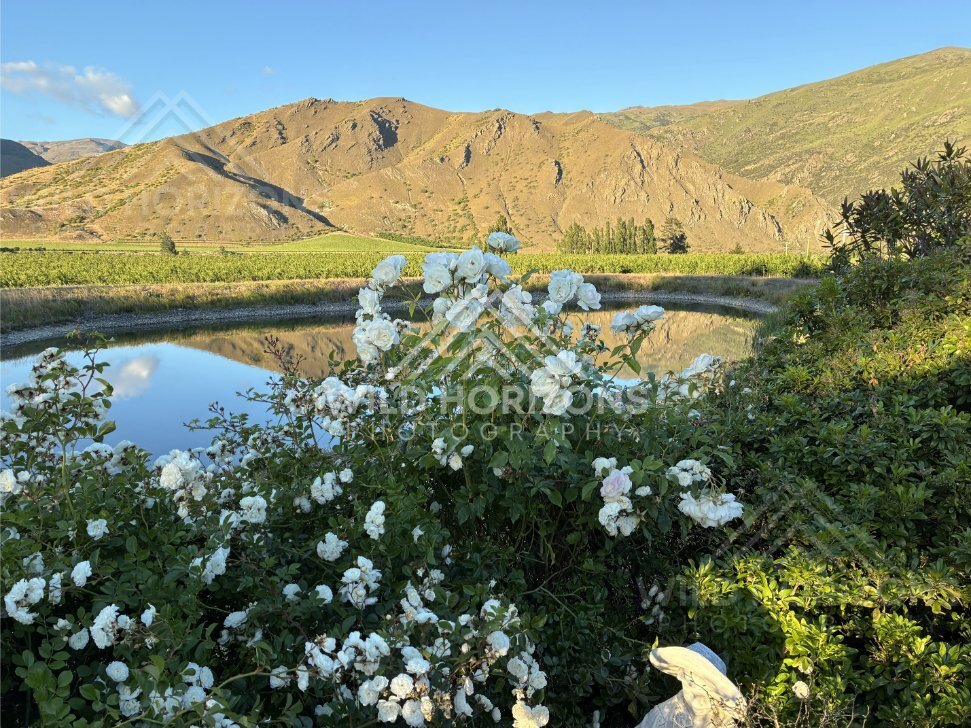 Rugged Mountain Backdrop at Cromwell area. South Island, New Zealand