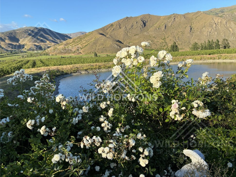 Moody Cliffside View along Cromwell area. South Island, New Zealand
