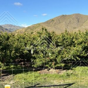 Dramatic Cliffside View beside Cromwell area. South Island, New Zealand