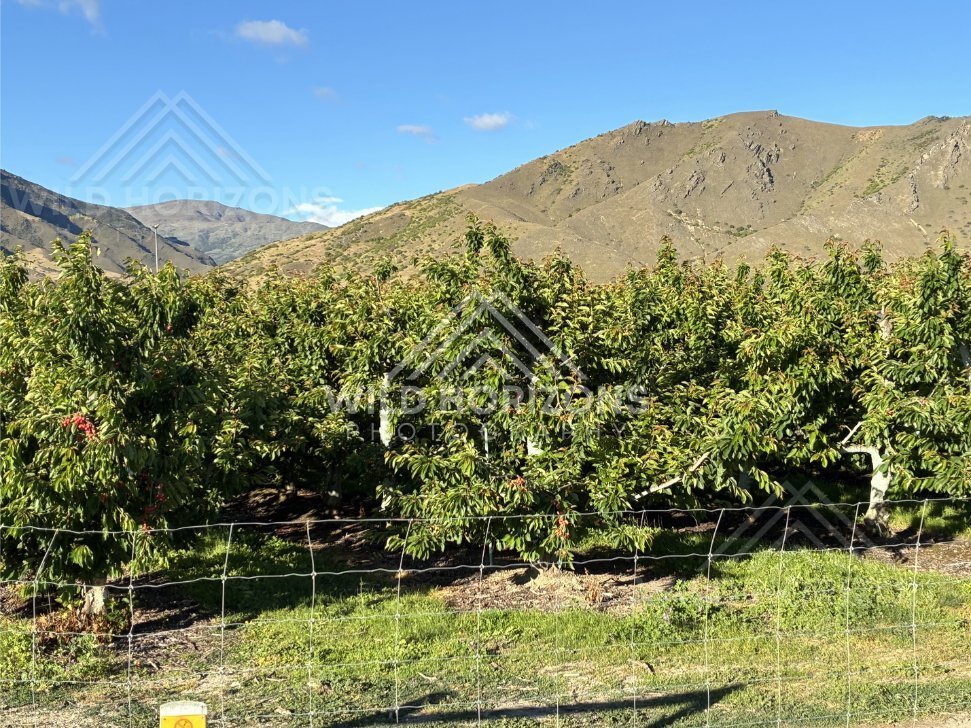 Dramatic Cliffside View beside Cromwell area. South Island, New Zealand