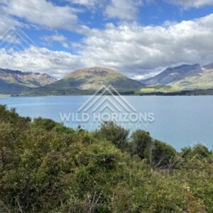 Rugged Roadside Vista overlooking Queenstown–Glenorchy Road. South Island, New Zealand