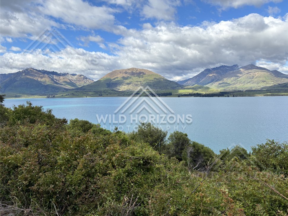 Rugged Roadside Vista overlooking Queenstown–Glenorchy Road. South Island, New Zealand