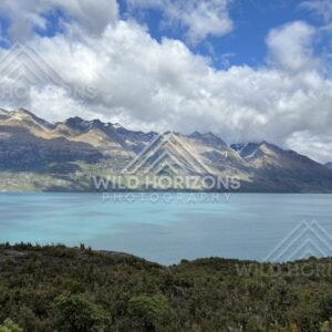 Moody Valley Outlook near Queenstown–Glenorchy Road. South Island, New Zealand