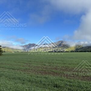 Open farmland stretching toward low cloud and distant ranges on the Mossburn Plains. Southland, New Zealand