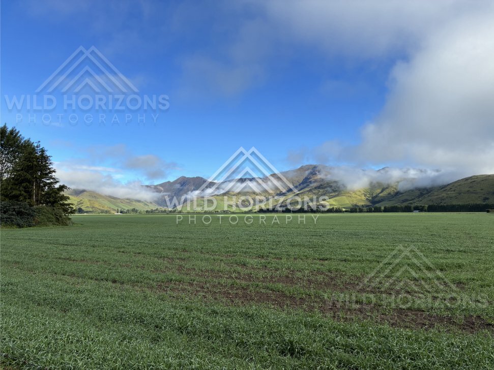 Open farmland stretching toward low cloud and distant ranges on the Mossburn Plains. Southland, New Zealand
