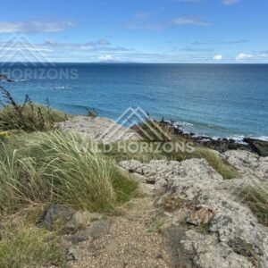 Rocky headland overlooking the open ocean under a clear blue sky. Riverton coastline, New Zealand