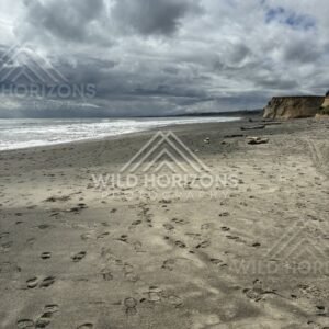 Wide black-sand beach stretching beneath heavy cloud and rolling surf. Southland coast, New Zealand