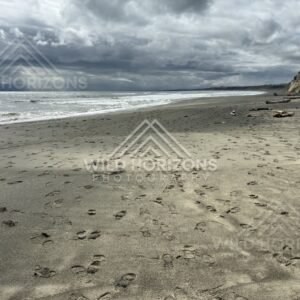 Empty stretch of black-sand shoreline with dramatic skies and distant cliffs. Southland coast, New Zealand