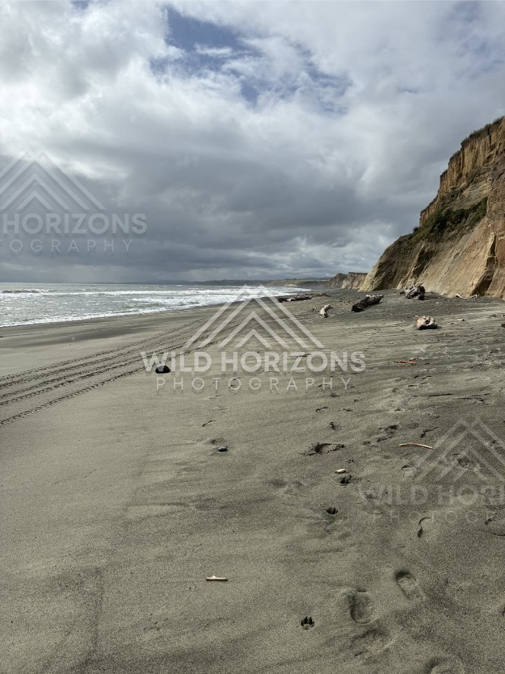 Long sweep of empty beach beneath towering clouds and restless ocean. Southland coast, New Zealand