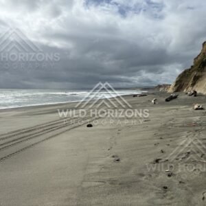 Brooding coastal light over windswept beach and rugged cliff line. Southland coast, New Zealand