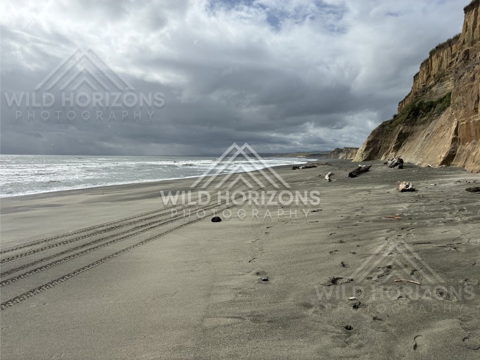 Brooding coastal light over windswept beach and rugged cliff line. Southland coast, New Zealand