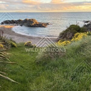 Grassy Track Down to a Quiet Beach Cove Framed by Yellow Coastal Flowers. Riverton, New Zealand