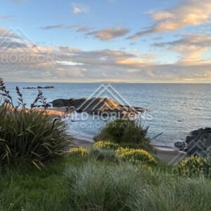 Flax and Coastal Wildflowers Overlooking a Rocky Cove in Evening Light. Riverton, New Zealand