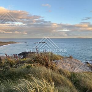 Coastal Clifftop Lookout Over a Crescent Bay and Calm Blue Water. Riverton, New Zealand