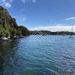 Sheltered Blue Bay with Forested Shores and Moored Sailboats in Clear Weather. Stewart Island, New Zealand