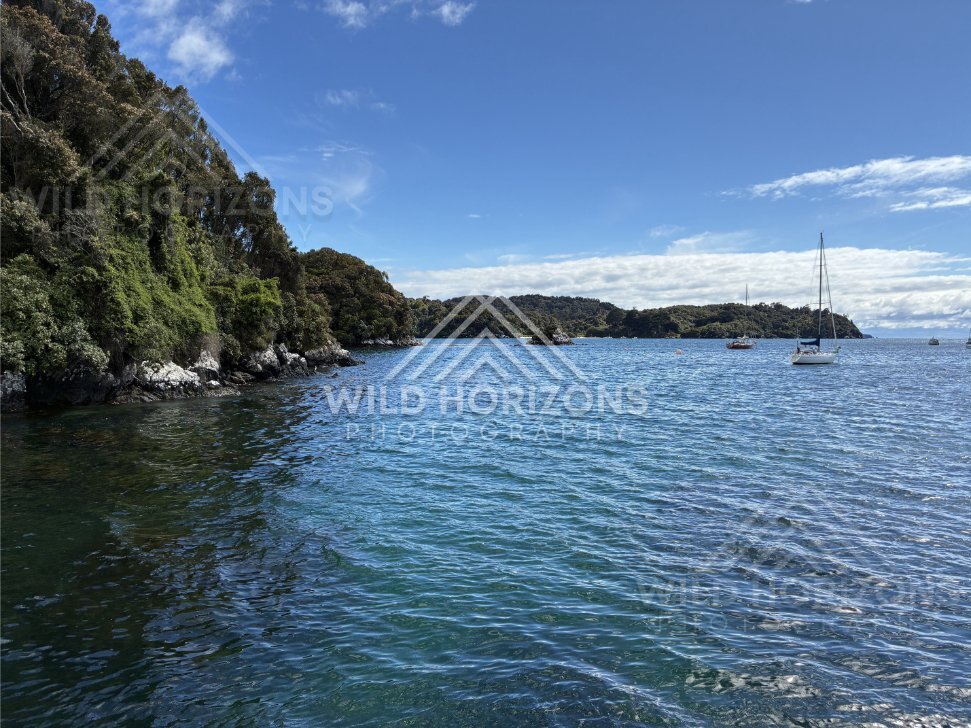 Sheltered Blue Bay with Forested Shores and Moored Sailboats in Clear Weather. Stewart Island, New Zealand