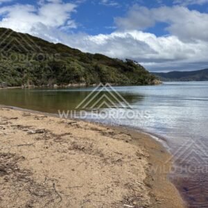 Quiet Sandy Bay with Native Bush Edges and Reflections on Still Water. Ulva Island, New Zealand