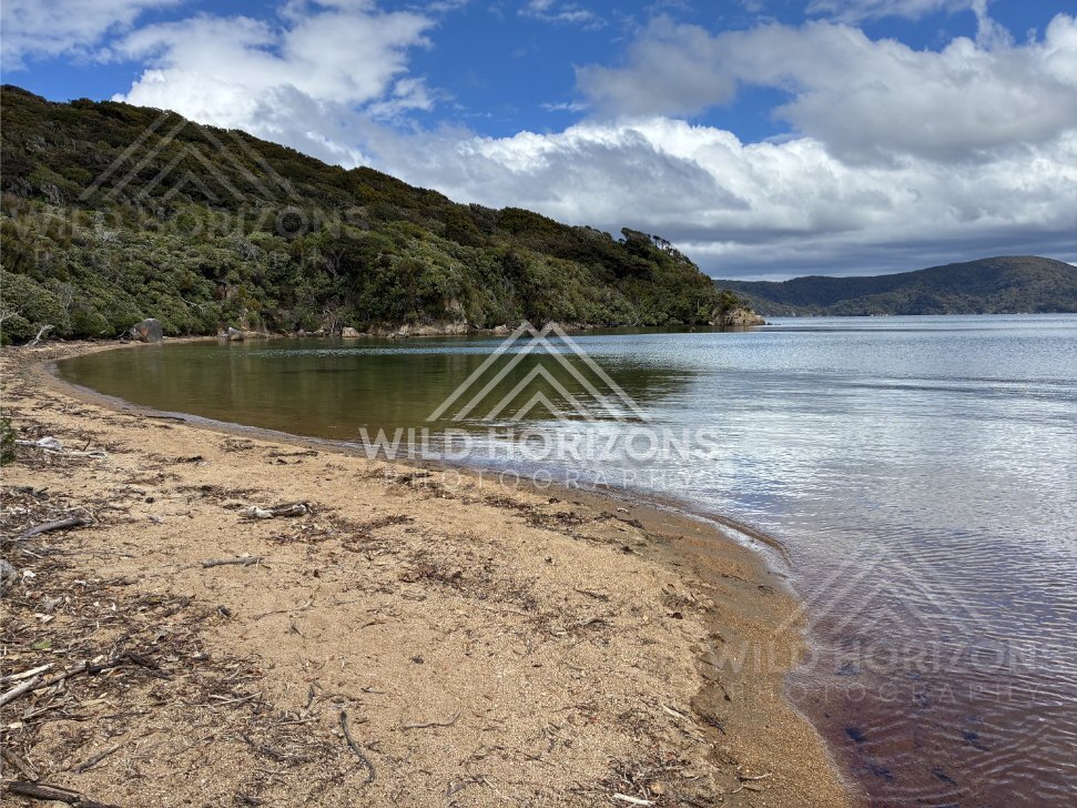 Quiet Sandy Bay with Native Bush Edges and Reflections on Still Water. Ulva Island, New Zealand