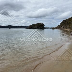 Overcast Inlet with a Small Island and Silvery Ripples Along a Calm Shoreline. Ulva Island, New Zealand