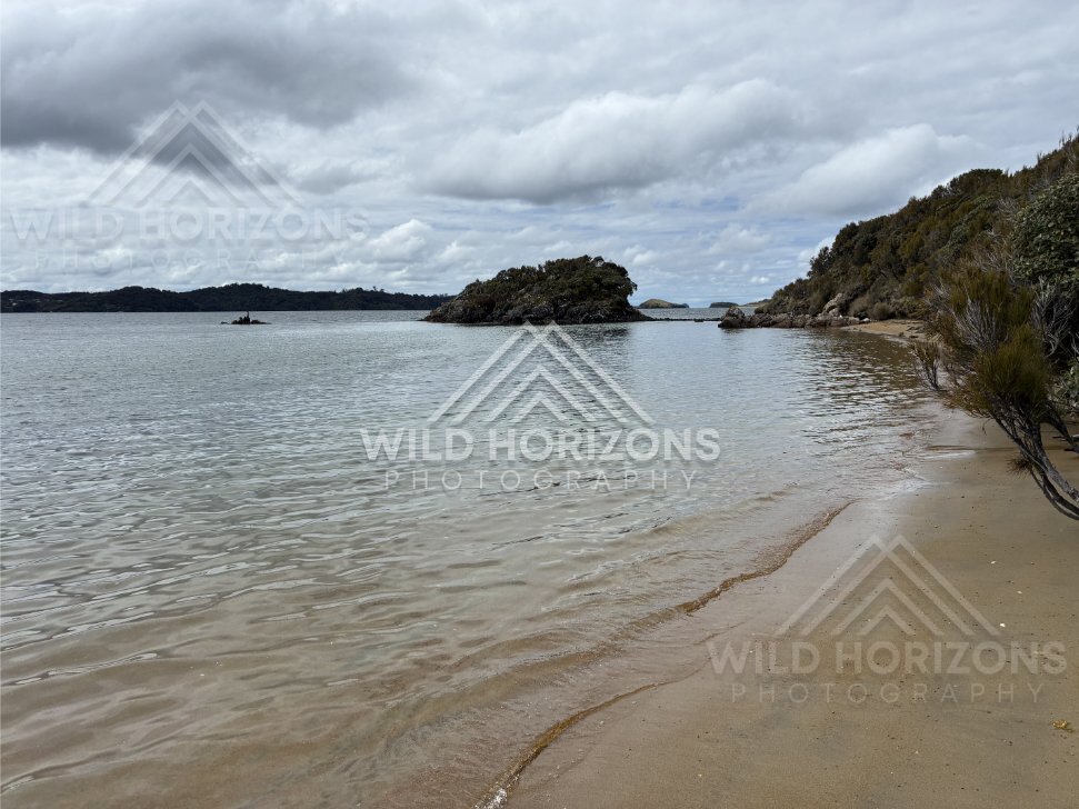 Overcast Inlet with a Small Island and Silvery Ripples Along a Calm Shoreline. Ulva Island, New Zealand