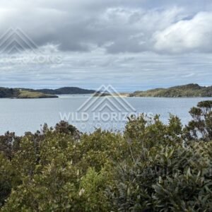 Harbour panorama framed by native shrubs and distant islands. Ulva Island, New Zealand