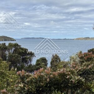 Elevated island lookout across sheltered channels and open water. Ulva Island, New Zealand