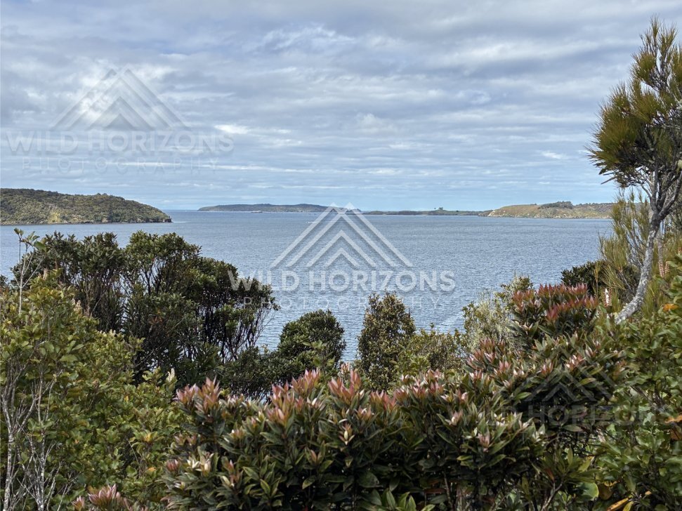 Elevated island lookout across sheltered channels and open water. Ulva Island, New Zealand