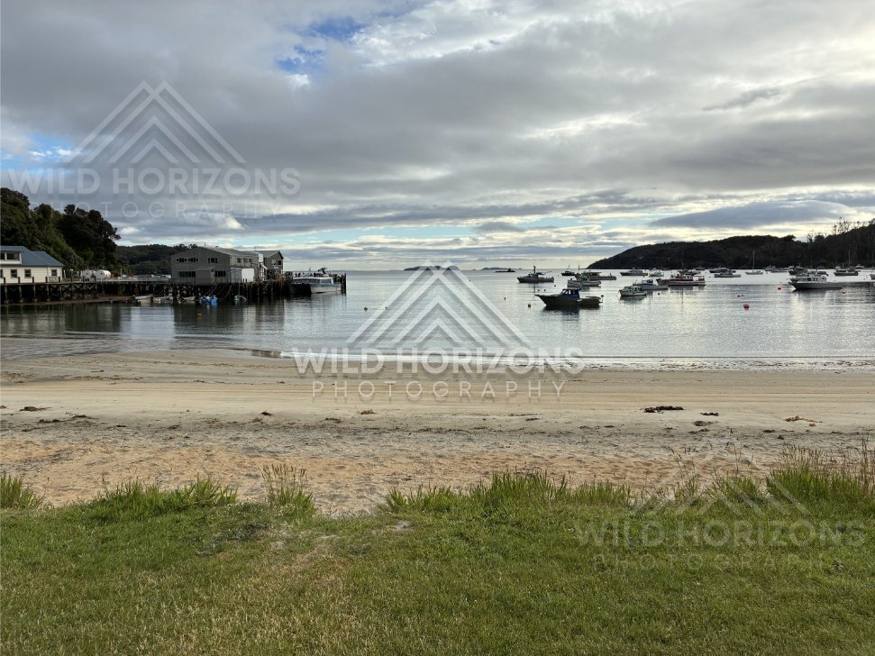 Quiet beach and moored boats in the township harbour. Oban, Stewart Island, New Zealand
