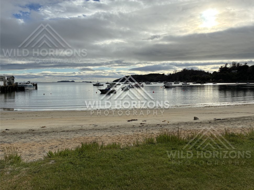 Sandy shoreline and anchored boats beneath a brooding sky. Oban, Stewart Island, New Zealand