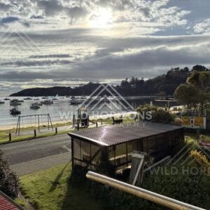 Harbourfront view with boats, lawns and evening light. Oban, Stewart Island, New Zealand