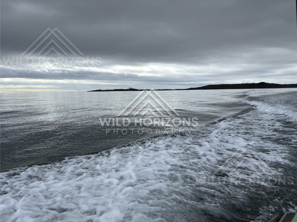 Boat wake cutting through calm inlet water under layered cloud. Paterson Inlet, New Zealand