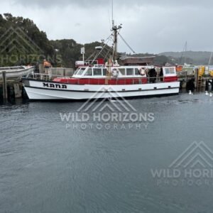 Red ferry moored at a working pier on a calm harbour. Oban, Stewart Island, New Zealand