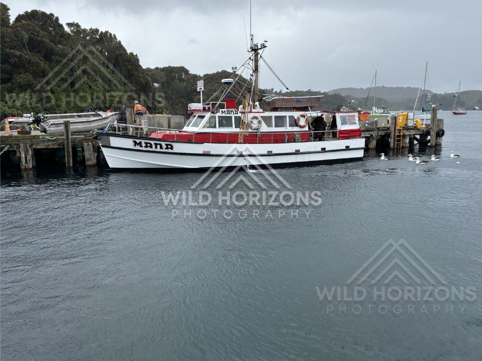 Red ferry moored at a working pier on a calm harbour. Oban, Stewart Island, New Zealand