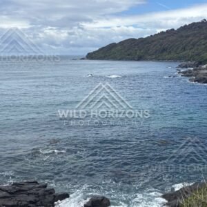 Rocky shoreline and forested headland meeting deep ocean blue. Bluff, New Zealand