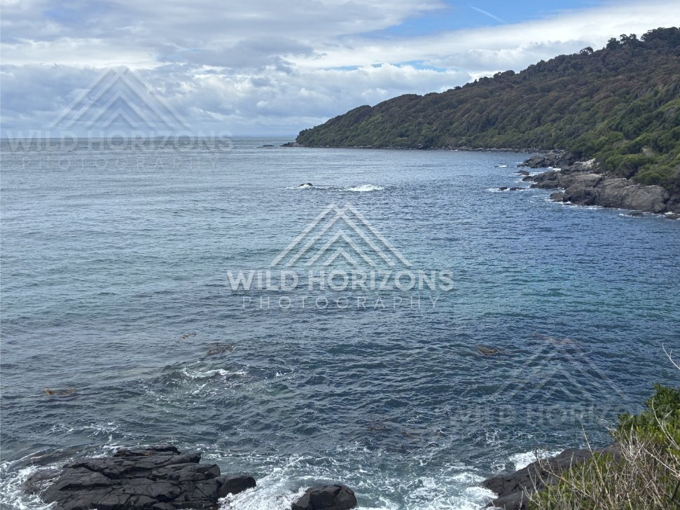 Rocky shoreline and forested headland meeting deep ocean blue. Bluff, New Zealand