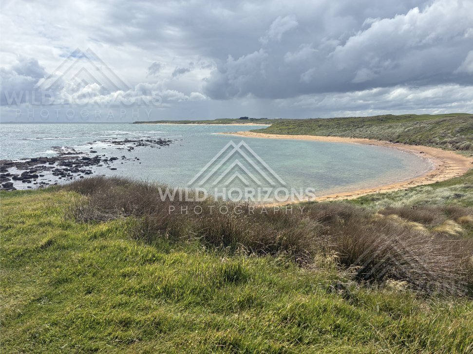 Sheltered turquoise bay with sandbar and coastal grasslands. Catlins Coast, New Zealand