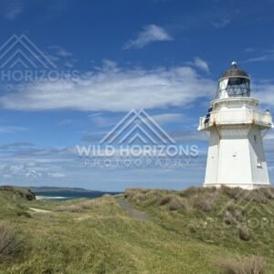 Iconic white lighthouse standing above windswept coastal dunes. Waipapa Point Lighthouse, New Zealand