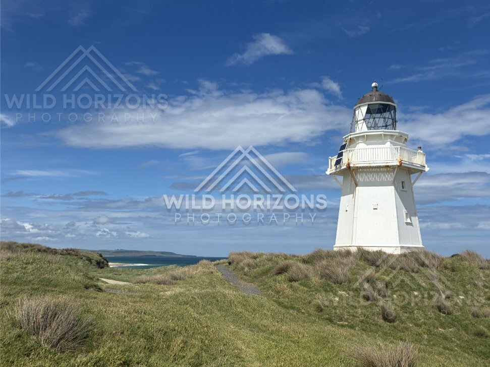 Iconic white lighthouse standing above windswept coastal dunes. Waipapa Point Lighthouse, New Zealand