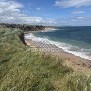 Clifftop view of surf lines curling along a sandy beach. Catlins Coast, New Zealand